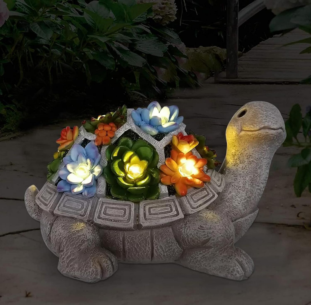banner-image