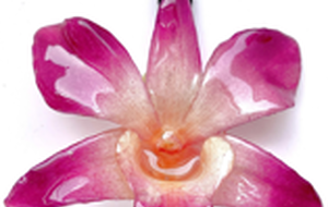 slider-img