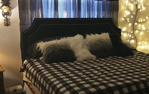 slider-img